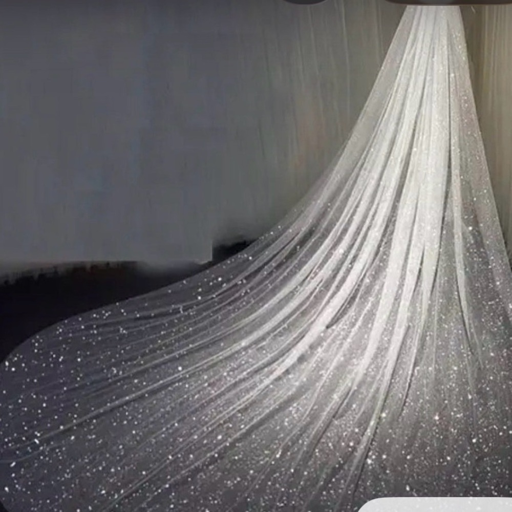 Sparkling Sheer Bridal Train Veil in Ivory